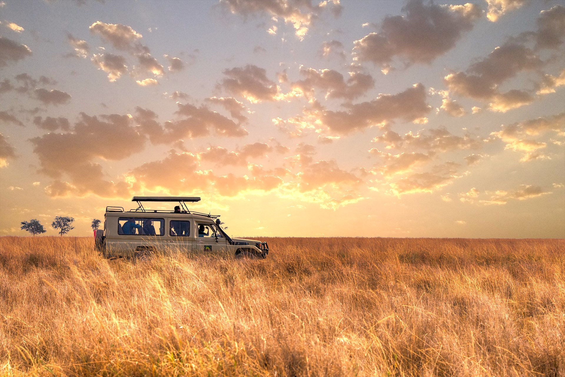 Safari vehicle crossing open Maasai Mara grassland
