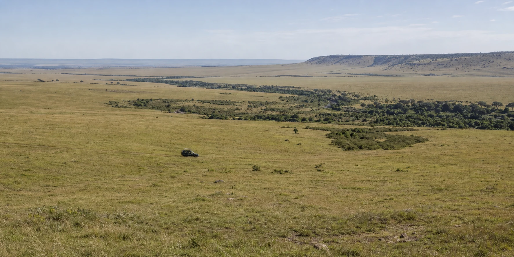 A safari vehicle crossing a wide green Maasai Mara landscape