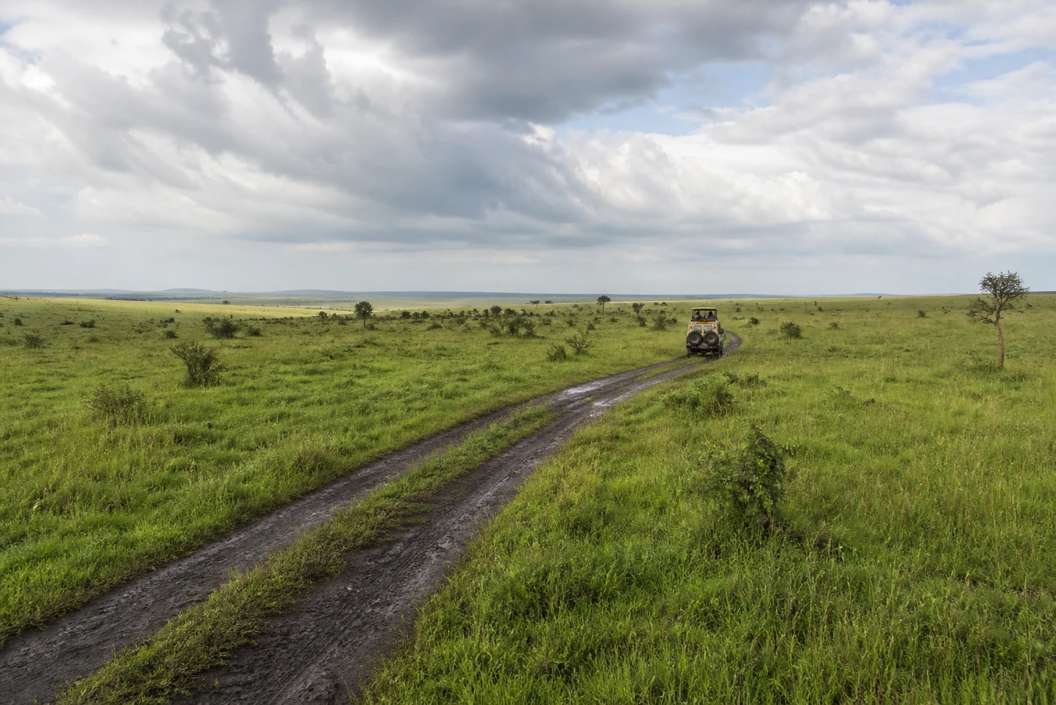A safari vehicle travelling along a rain-darkened track through green grassland